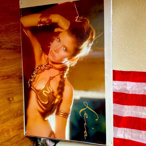 Picture of princess Leia - Picture 1 of 1